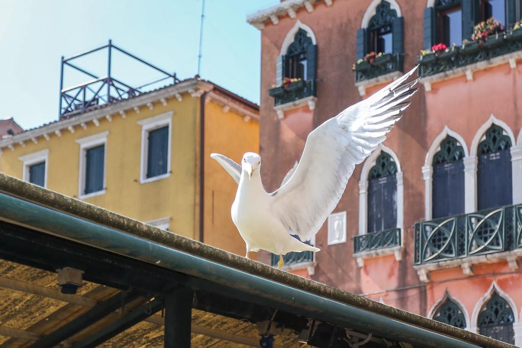 Rialto 1602 Apartamento